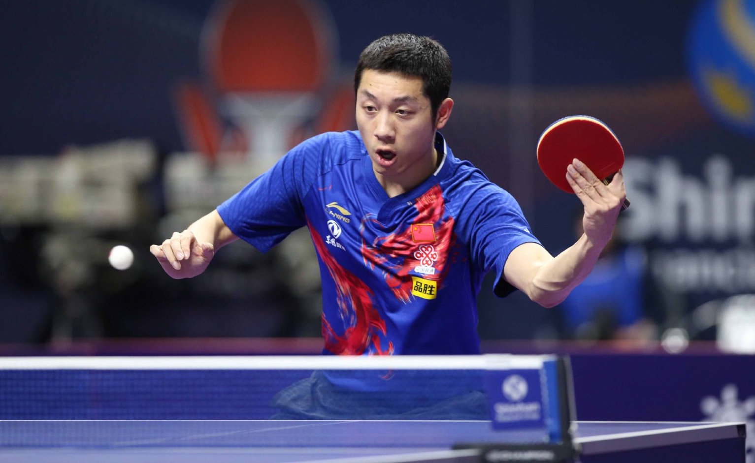 差异赋予特 差异赋予特